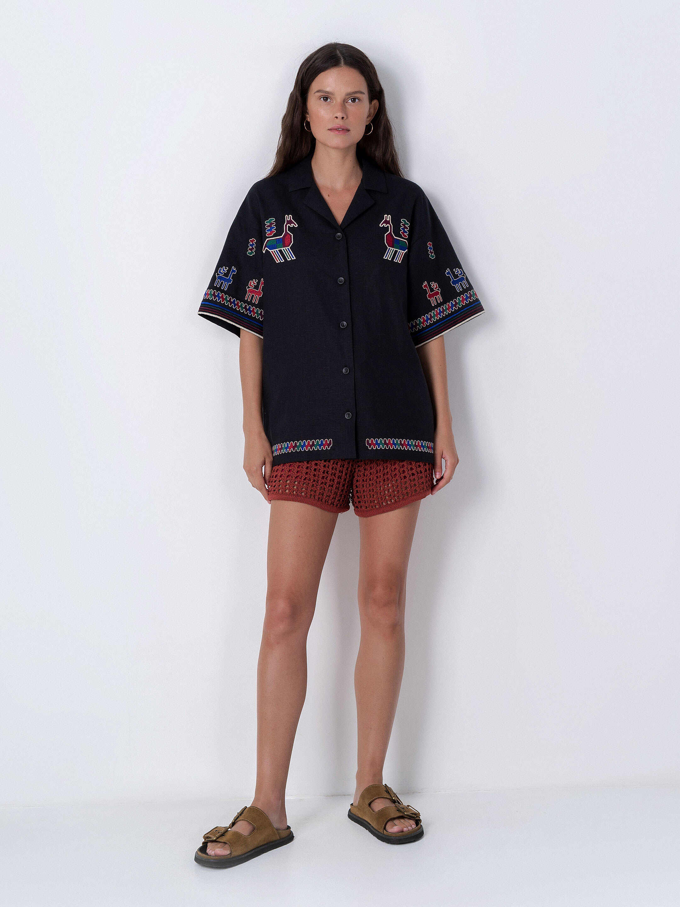 Linen shirt with short sleeves and embroidery Konyk dark in Ukraine