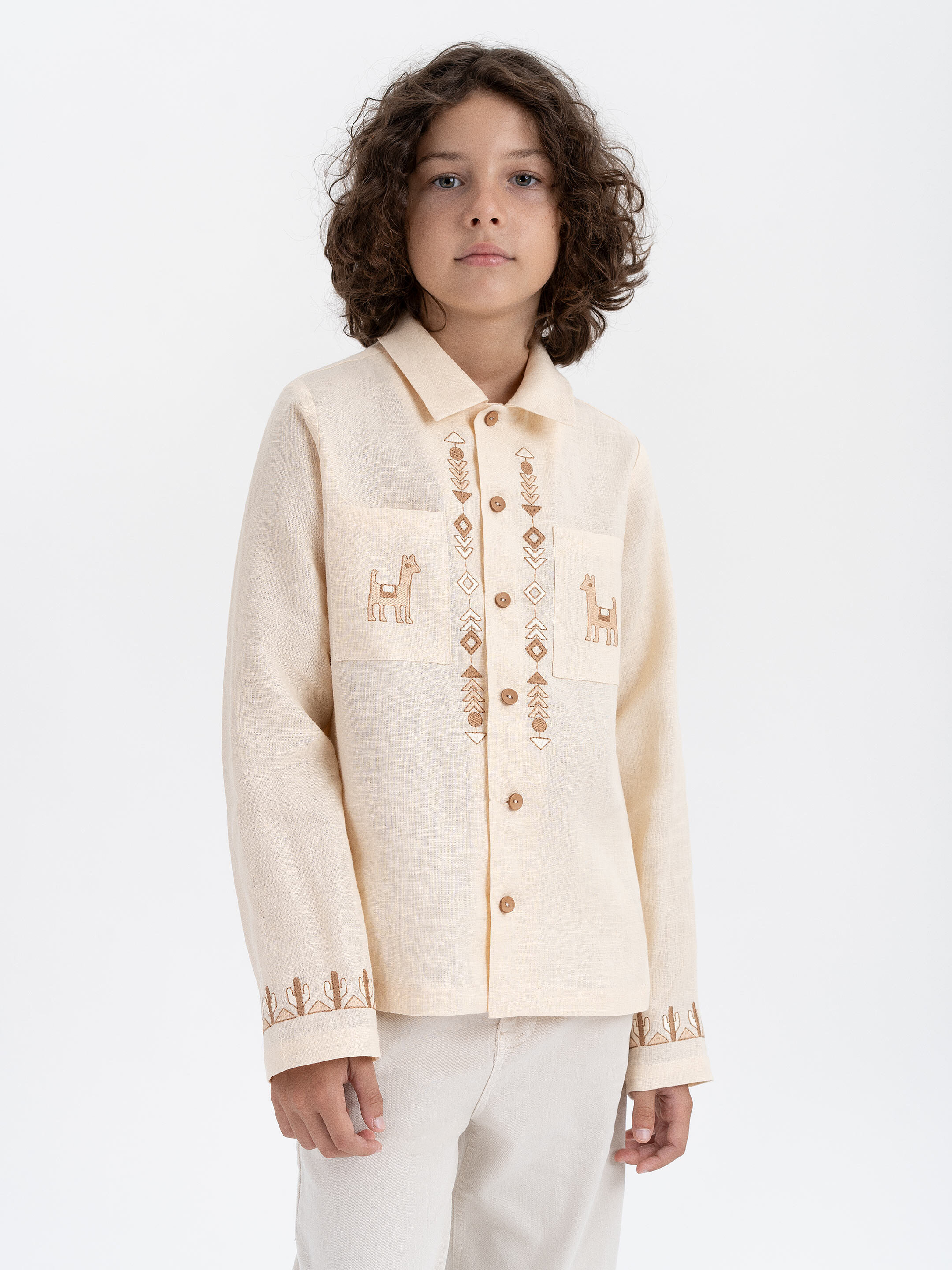 Children's embroidered shirt "Stepovyk" Buy