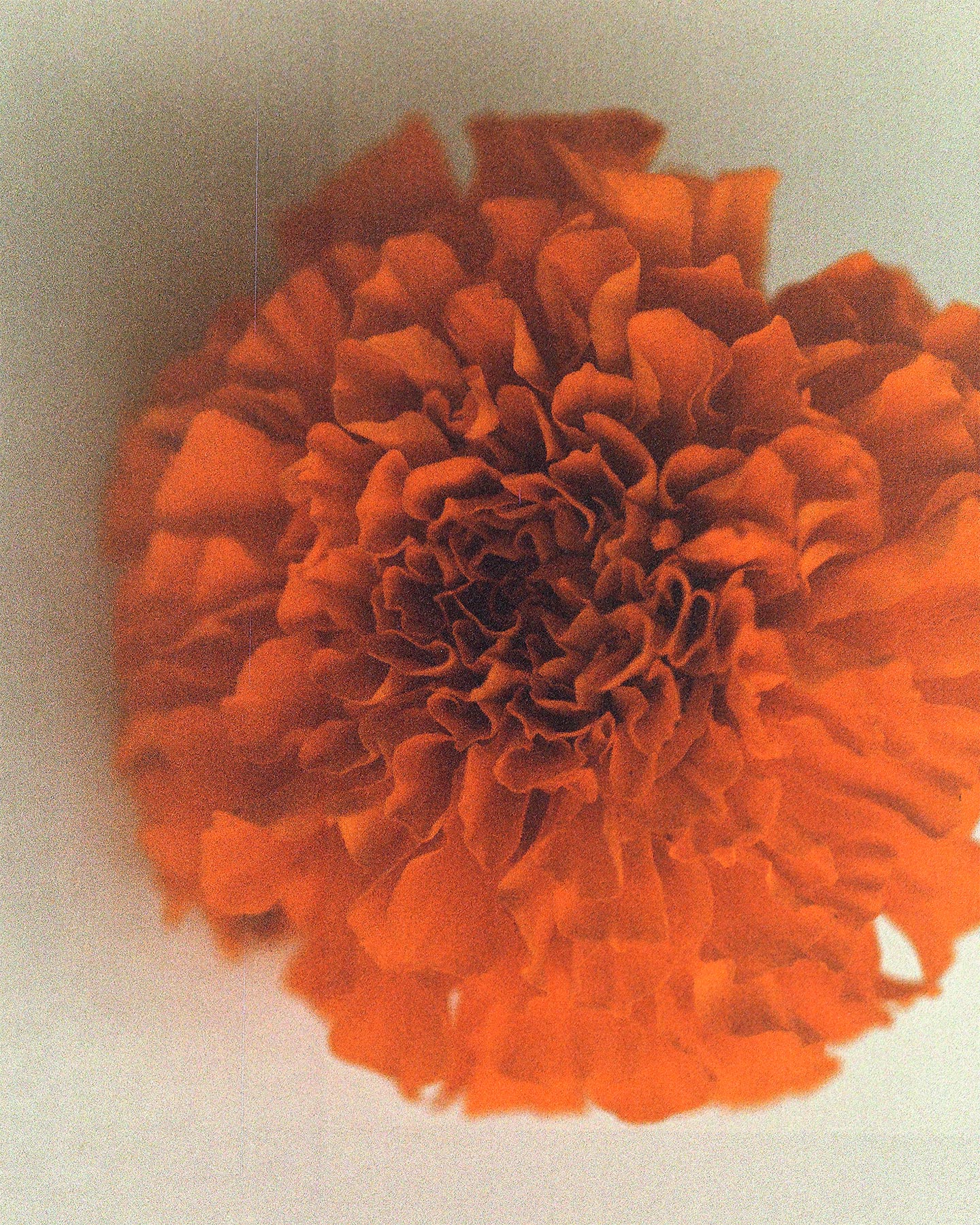 фото-3