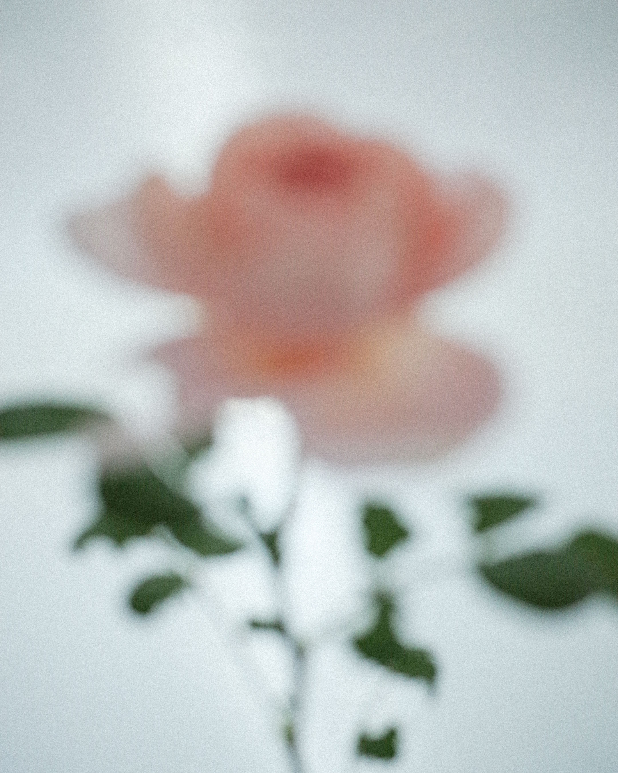 Etnodim's new collection is called «Memories of Visions»